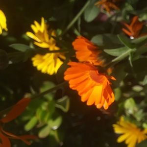 Meet your Posher, Hello